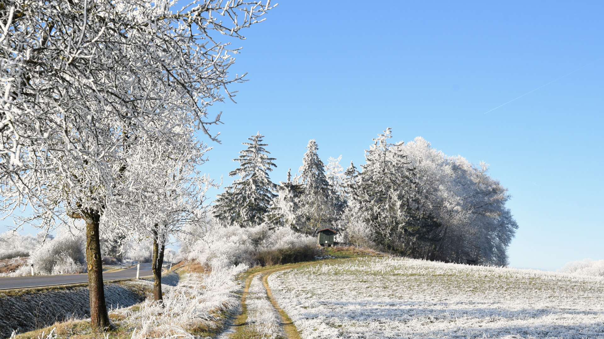 Winterlandschaft bei Auernheim