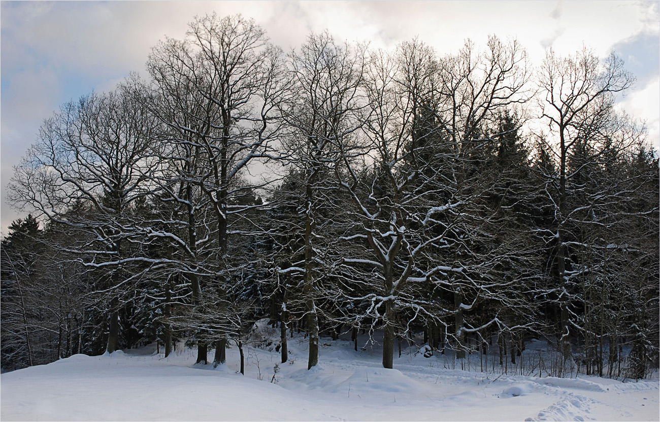 Winterstrukturen