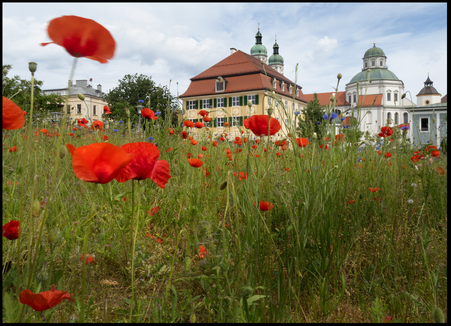 Natur in der Stadt.