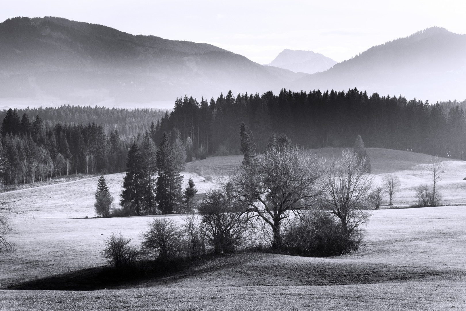 Am Alpenrand.